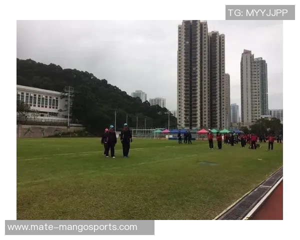 芹苴鲶鱼对决西贡热火精彩赛事回顾与分析